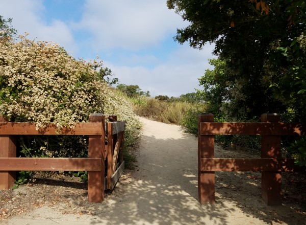 Alta Laguna Park Laguna Beach LagunaBeachCommunity.com