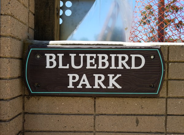 Bluebird Park Laguna Beach LagunaBeachCommunity.com