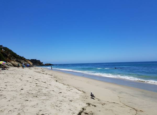 Bluebird Beach Laguna Beach Pacific Ocean California