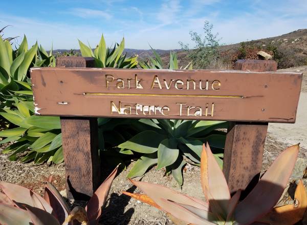 Park Avenue Nature Trail Laguna Beach LagunaBeachCommunity.com