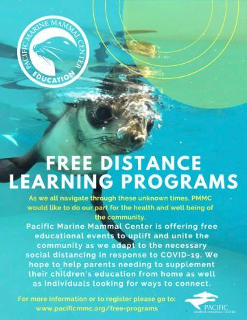 Pacific Marine Mammal Center Free Live Virtual Field Trips